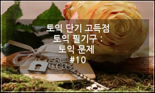 오늘의 이미지
