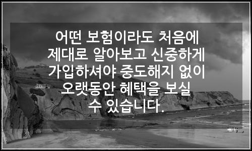 오늘의 이미지