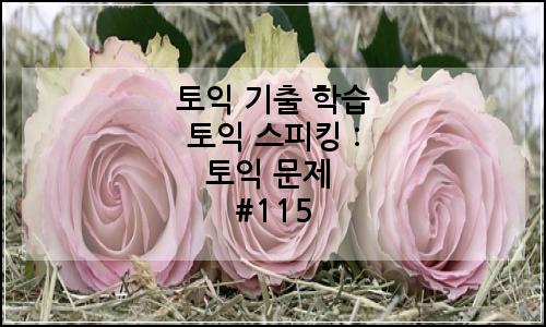 오늘의 이미지