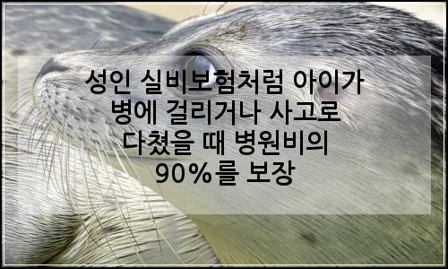 오늘의 이미지