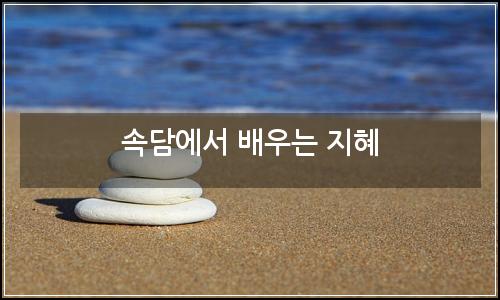 오늘의 이미지