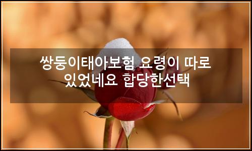 오늘의 이미지