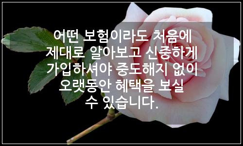 오늘의 이미지