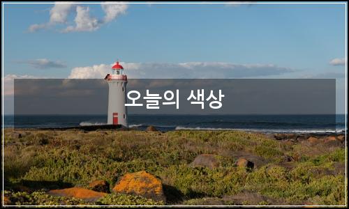 오늘의 이미지
