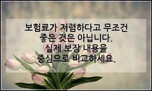 오늘의 이미지