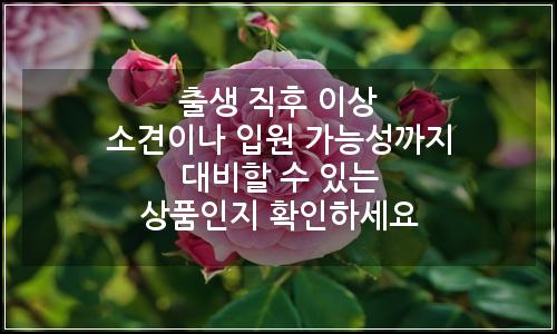 오늘의 이미지