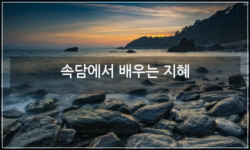 오늘의 이미지