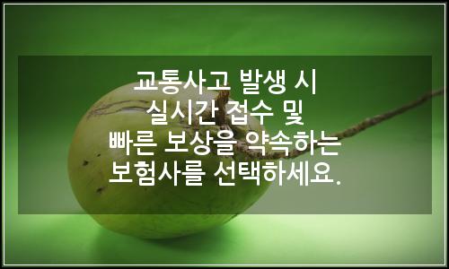 오늘의 이미지