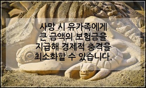 오늘의 이미지