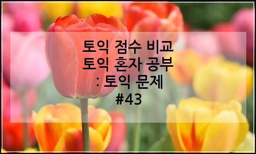 오늘의 이미지