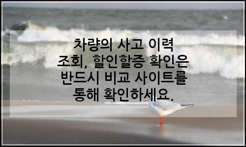 오늘의 이미지