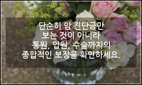 오늘의 이미지