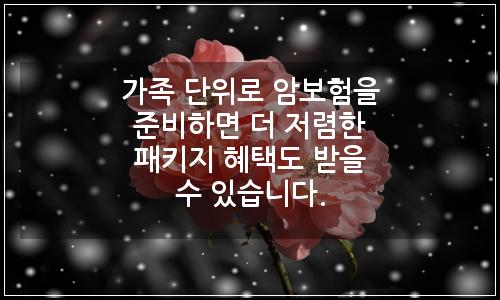 오늘의 이미지