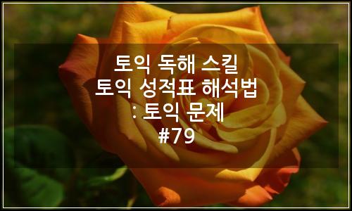 오늘의 이미지