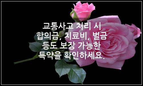 오늘의 이미지