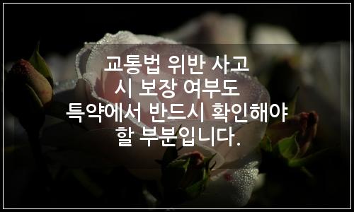 오늘의 이미지