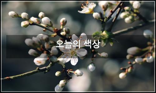 오늘의 이미지