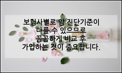 오늘의 이미지