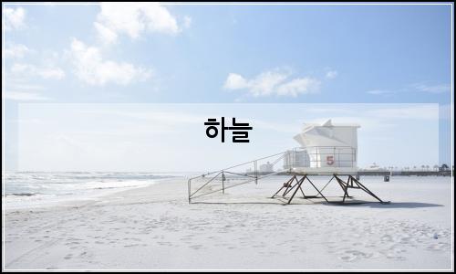 오늘의 이미지