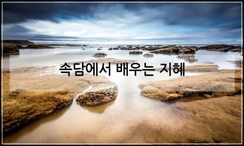 오늘의 이미지