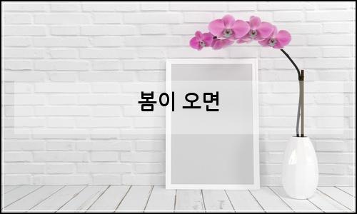 오늘의 이미지