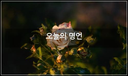 오늘의 이미지