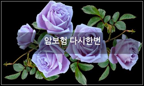 오늘의 이미지