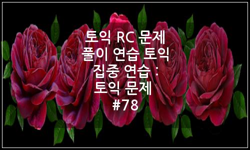 오늘의 이미지