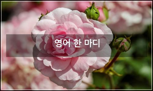 오늘의 이미지