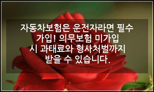 오늘의 이미지