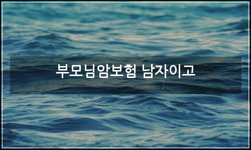 오늘의 이미지