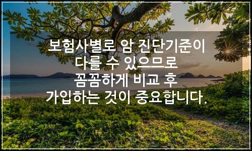 오늘의 이미지