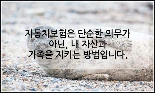 오늘의 이미지