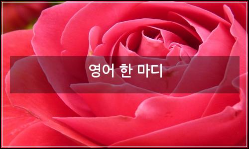 오늘의 이미지