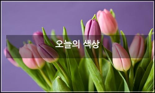 오늘의 이미지