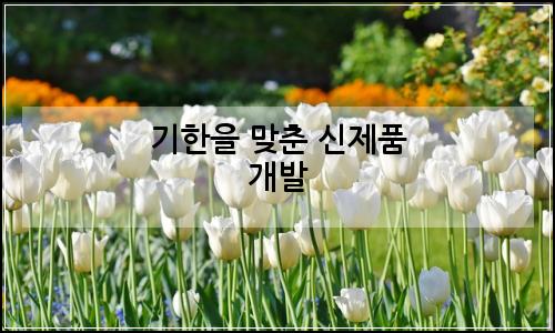 오늘의 이미지