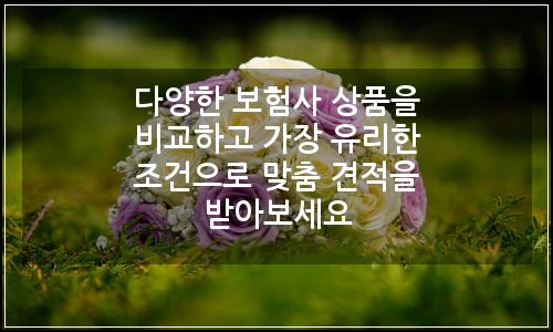 오늘의 이미지
