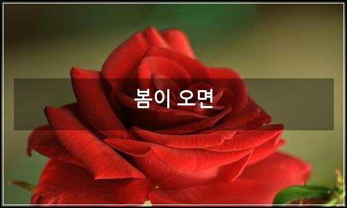 오늘의 이미지