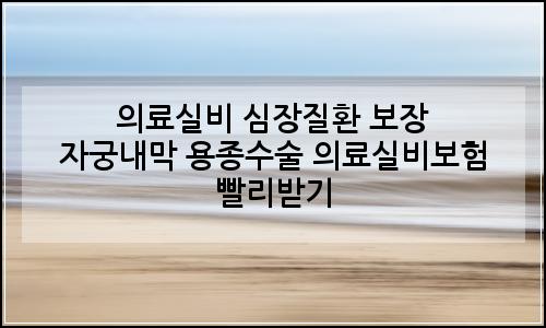 오늘의 이미지