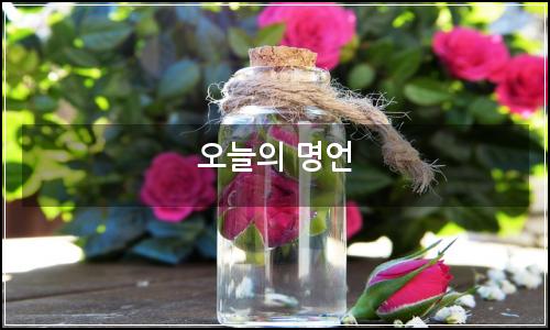 오늘의 이미지