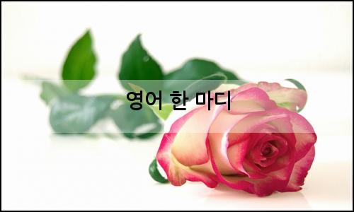 오늘의 이미지