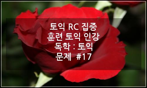 오늘의 이미지