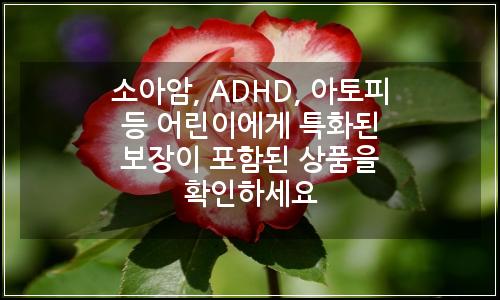 오늘의 이미지