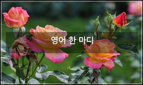 오늘의 이미지