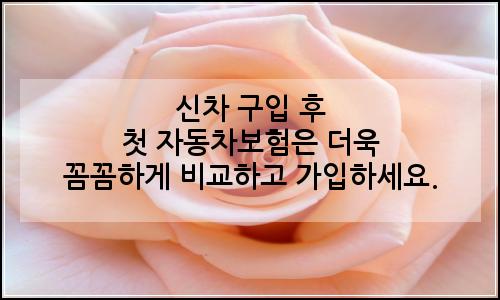 오늘의 이미지