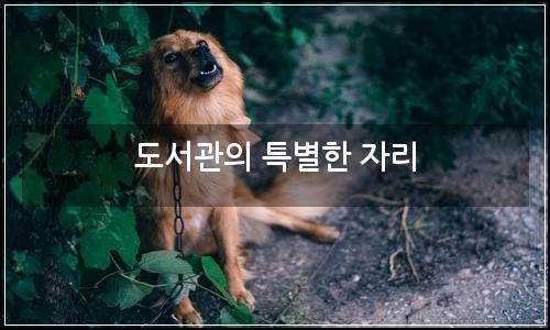 오늘의 이미지