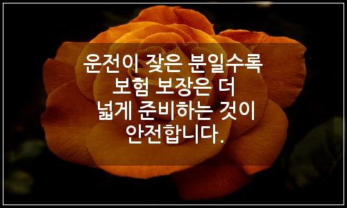 오늘의 이미지