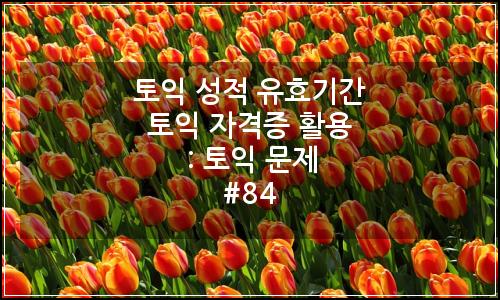오늘의 이미지