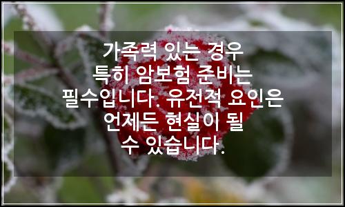 오늘의 이미지