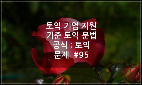 오늘의 이미지